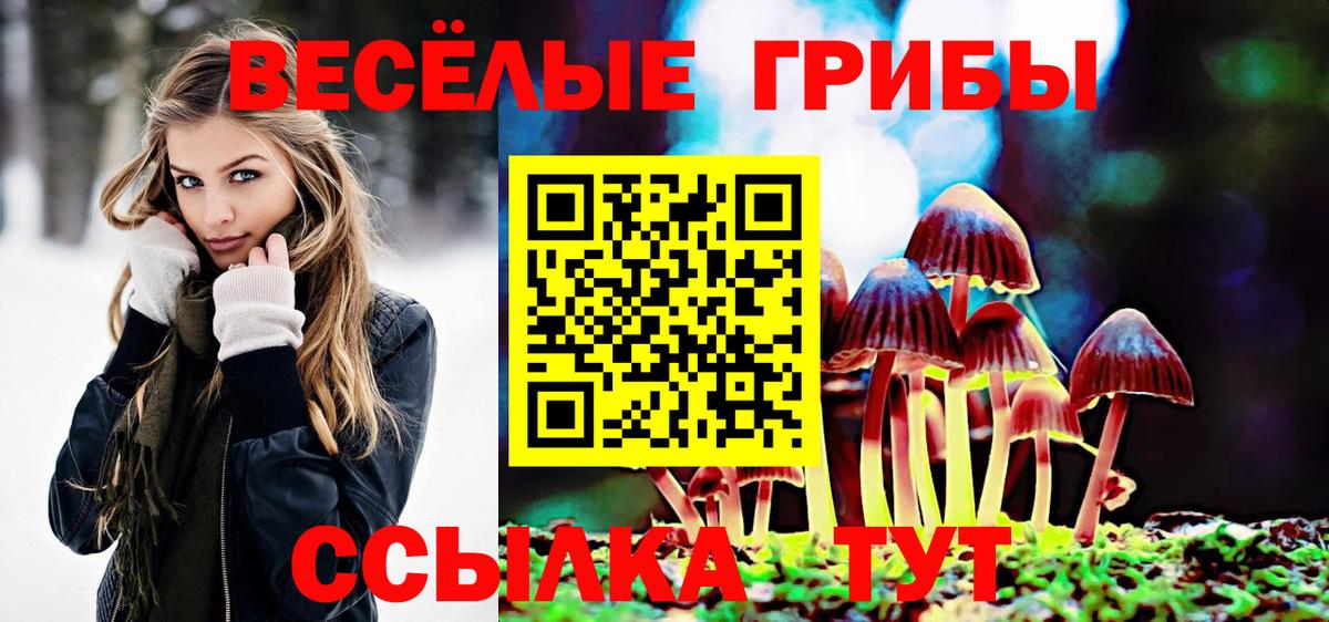 Псилоцибиновые грибы Magic Shrooms Жигулёвск