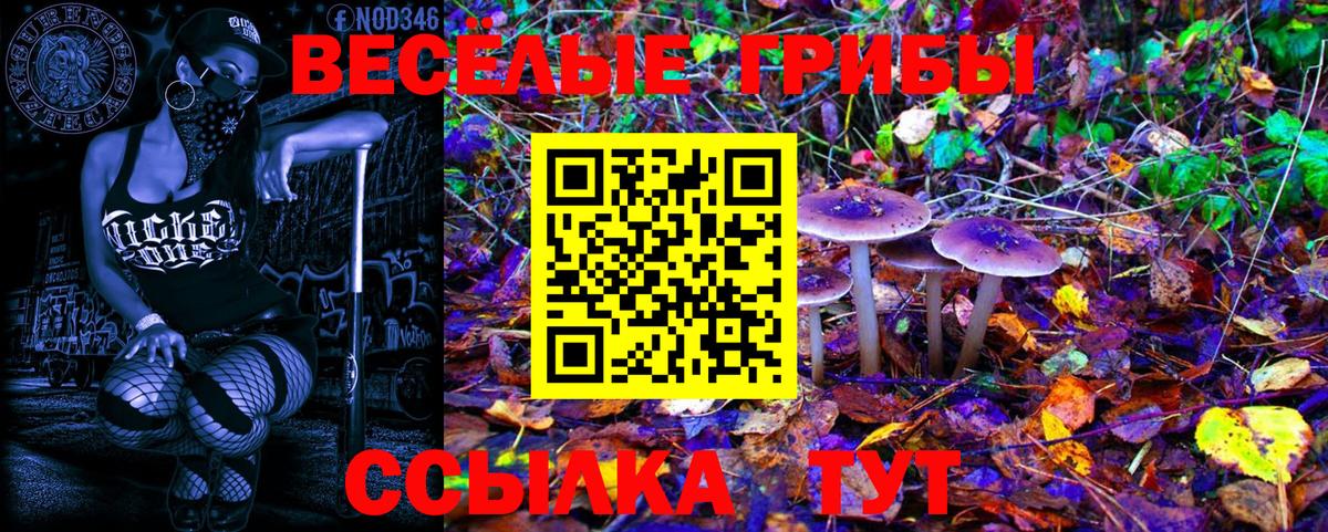 Галлюциногенные грибы MAGIC MUSHROOMS  Галлюциногенные грибы ЛСД  Вход с VPN  Жигулёвск 